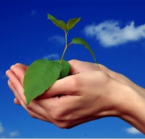 Receiving Abundance