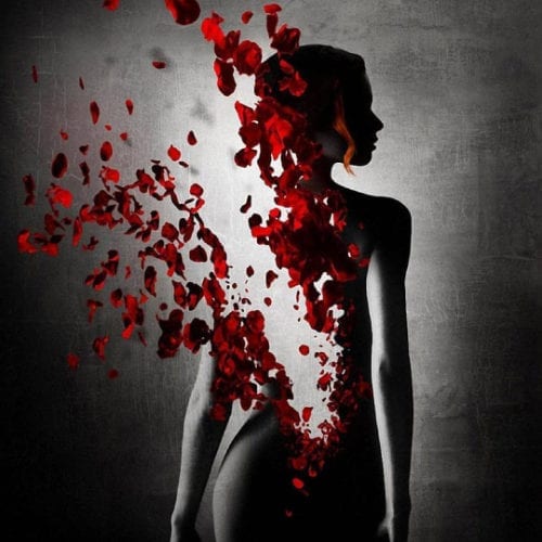 Sex, Passion, and Love Package