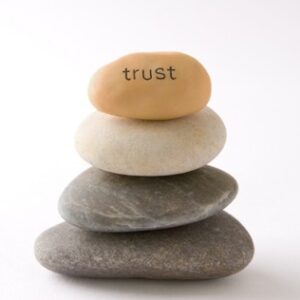 Trust, A Complimentary Exploration
