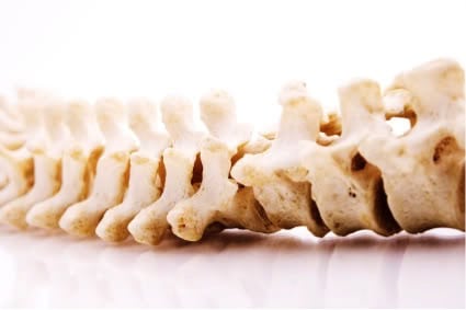 horizontal spine
