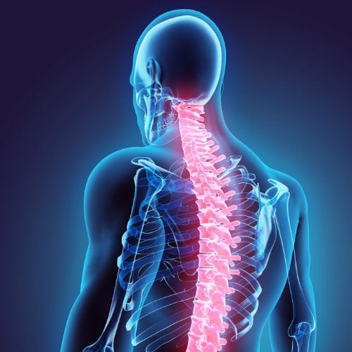 Spine Consciousness I