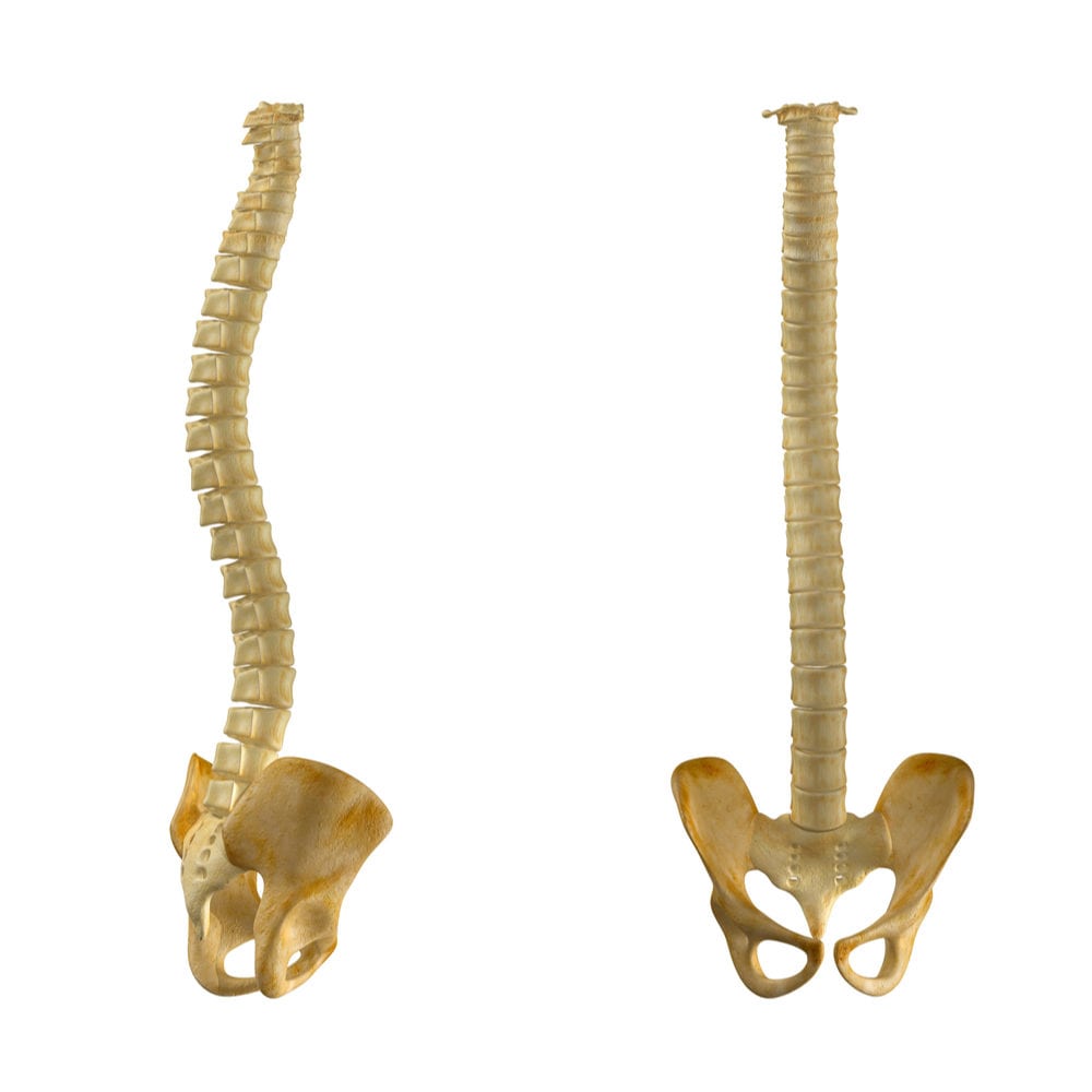 Spine Consciousness I & II Package