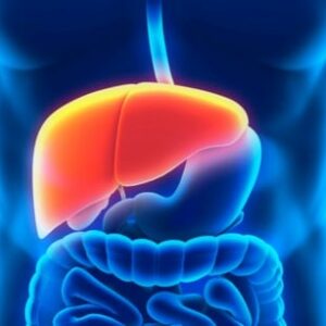 Energetic Liver Gallbladder Cleanse