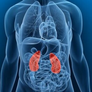 Energetic Kidney & Adrenal Cleanse