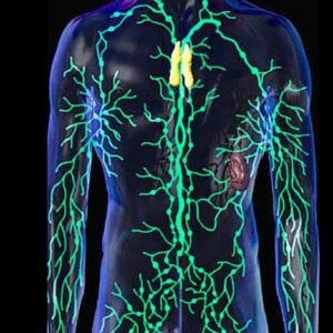 Energetic Lymph System Cleanse