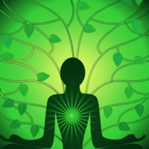 Treat Your Heart/Chakra Connection Package