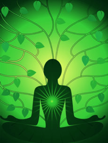 Treat Your Heart/Chakra Connection Package