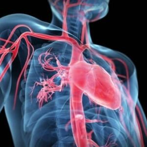 Energetic Blood Cleanse