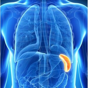 Energetic Spleen Cleanse