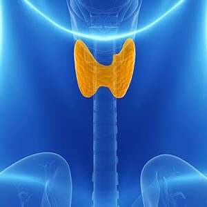 Energetic Thyroid Cleanse