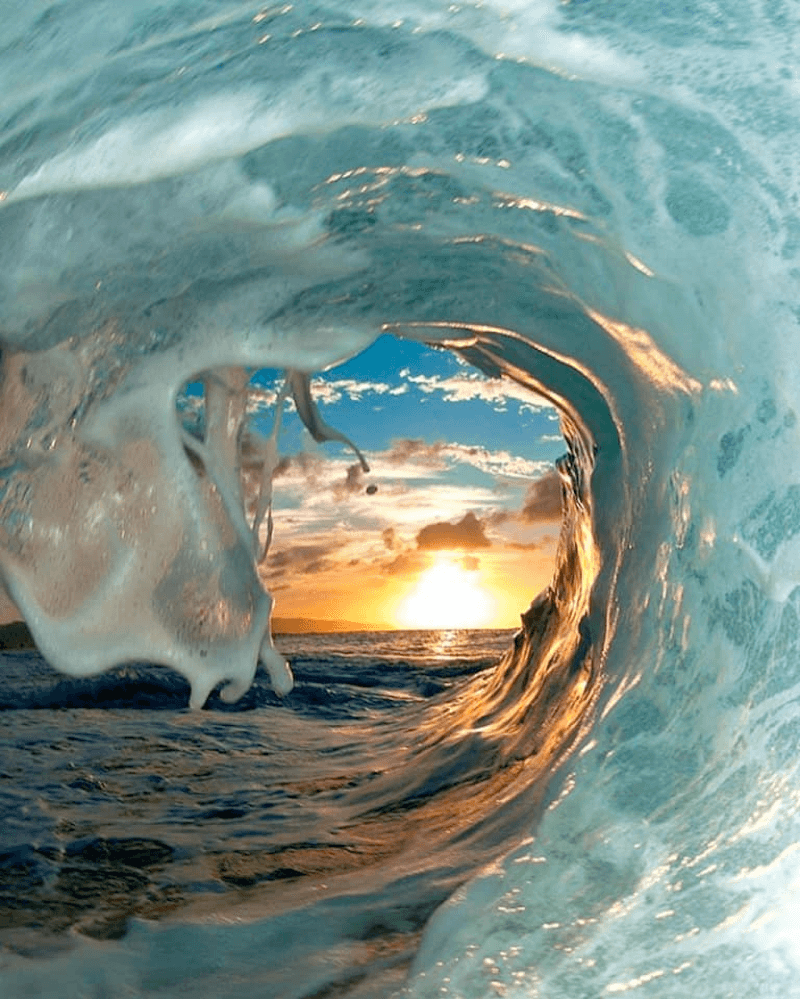 Everything Under The Sun