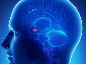 Energetic Pineal Cleanse