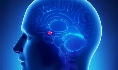 Energetic Pineal Cleanse