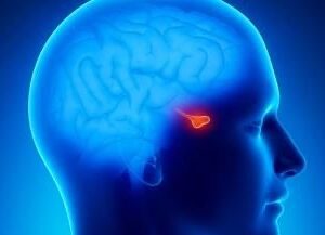 Energetic Pituitary Cleanse