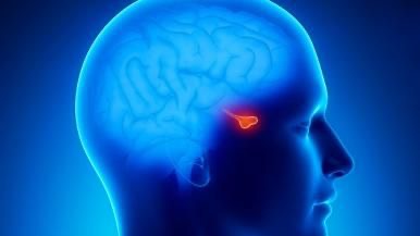 Energetic Pituitary Cleanse